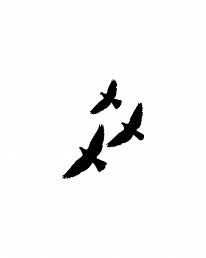 SYMBOLS